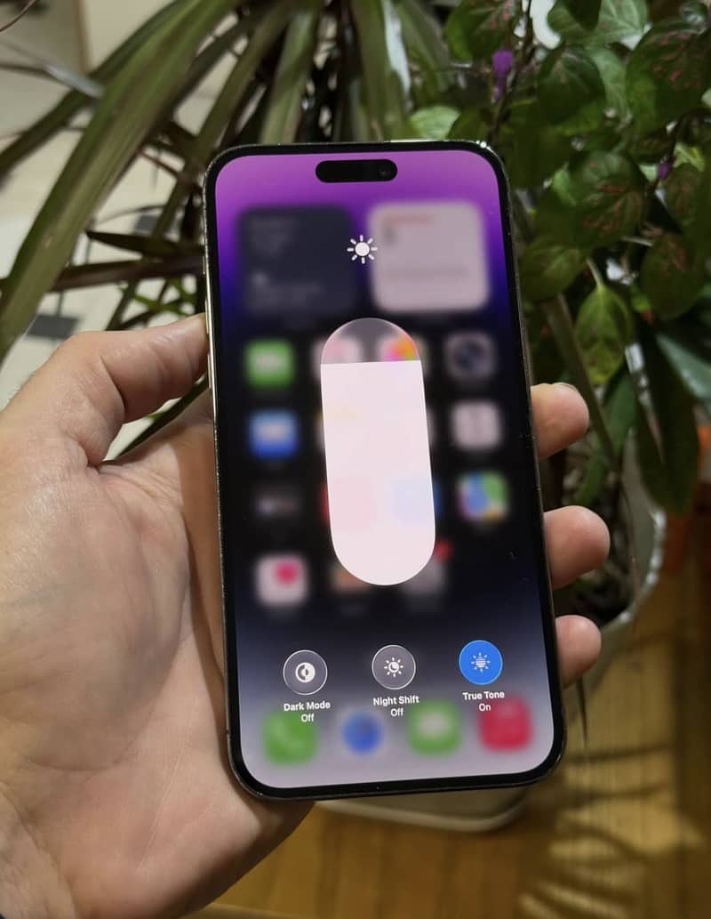 Apple iPhone 14 Pro Max 1