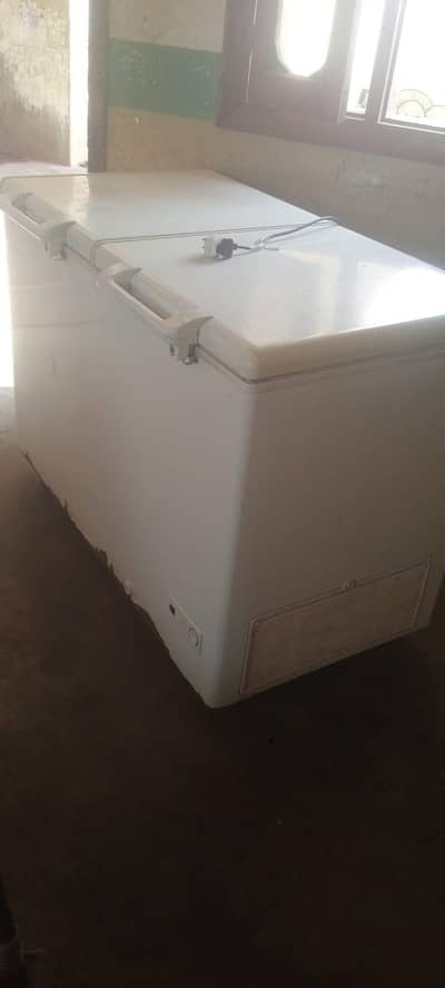 Haier Deep Freezer Double Door