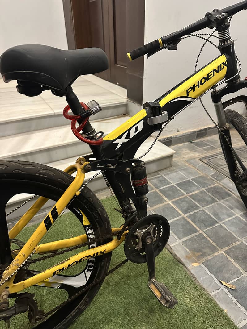 Phoenix Cycle 1