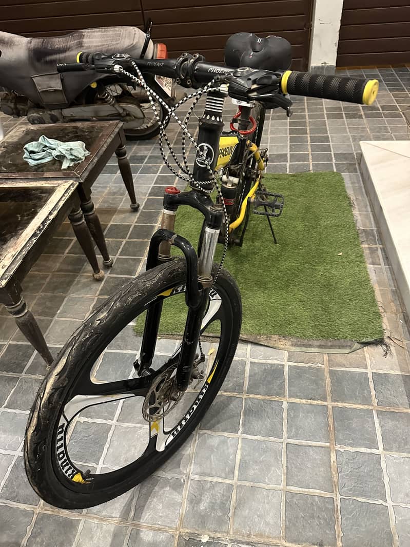 Phoenix Cycle 2