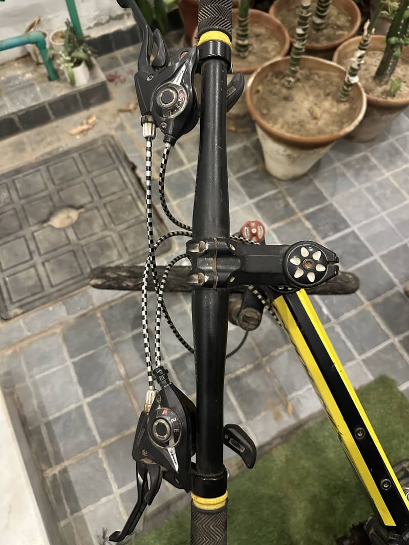 Phoenix Cycle 4