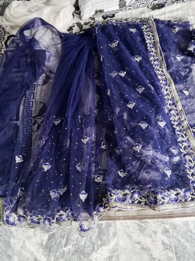 blue sari 0