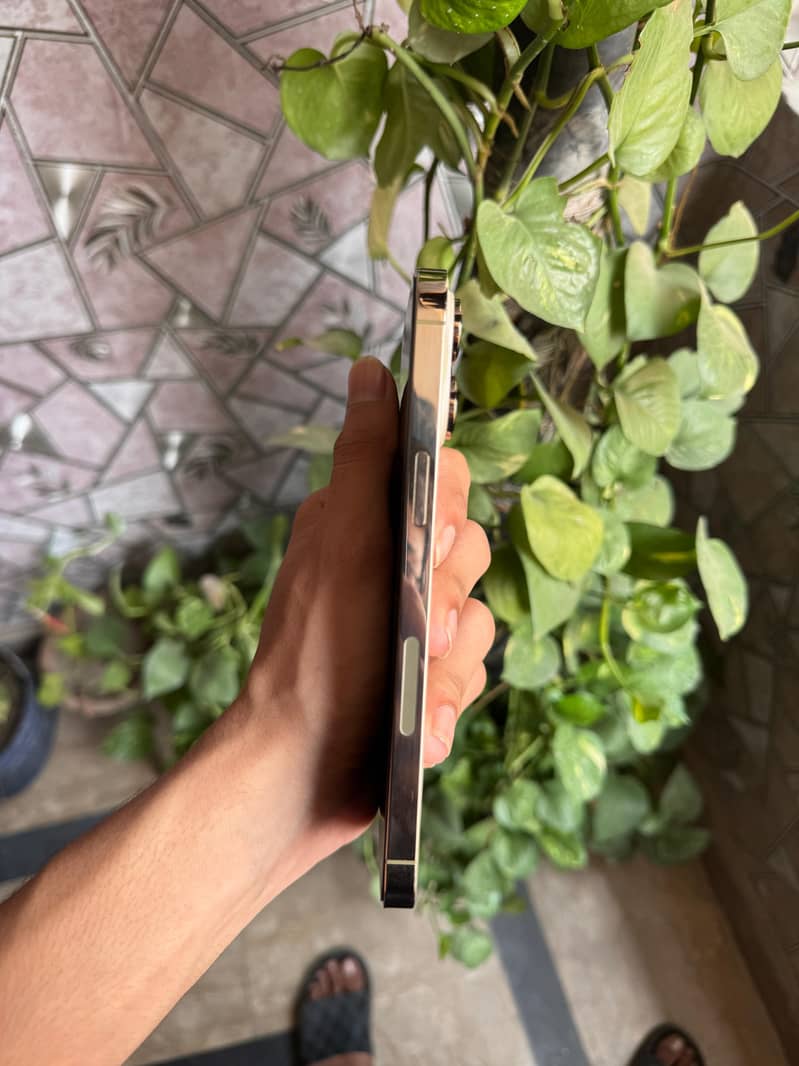 Iphone 14 pro max 1