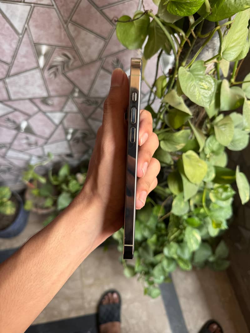 Iphone 14 pro max 2