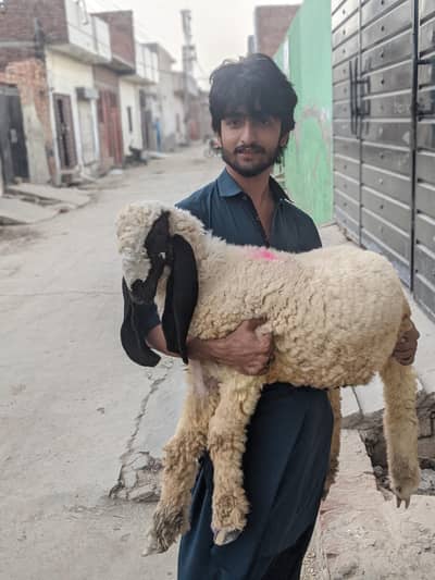 bht achi quality ka bcha h