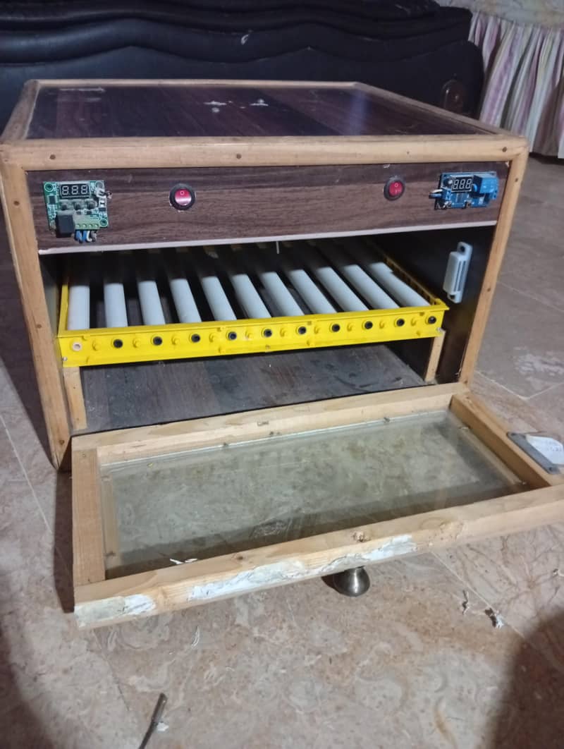 fully automatic incubator 0