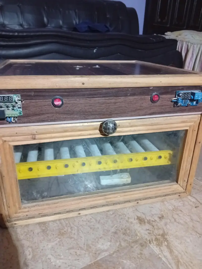 fully automatic incubator — photo 7