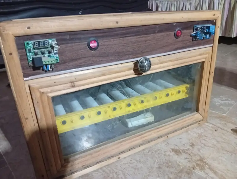 fully automatic incubator — photo 8