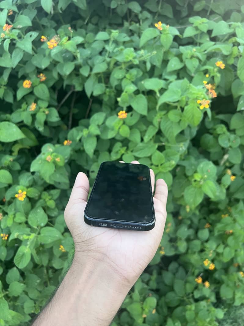 Apple iPhone 15 jv 8