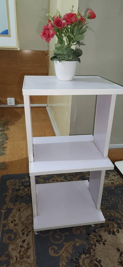 Beautiful Rack With Wheels Final Price 4000