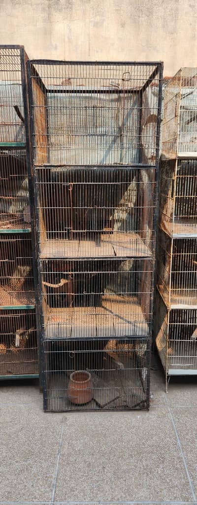 birds Cages for sale 8 portion angle 4 portion and wooden finches cage