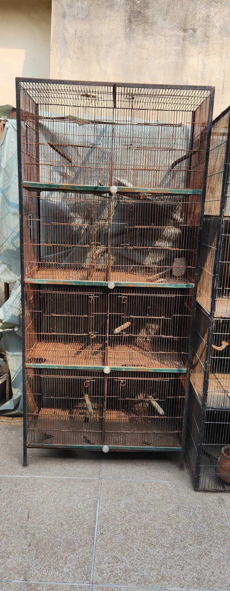 birds Cages for sale 8 portion angle 4 portion and wooden finches cage — photo 3
