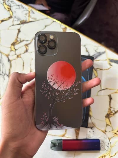 Apple iPhone 12 Pro Max