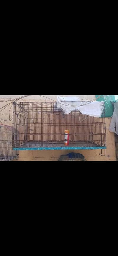 folding cage and 3 piece fawn java