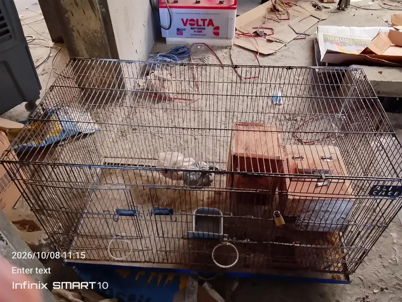 cage in good condition — photo 2