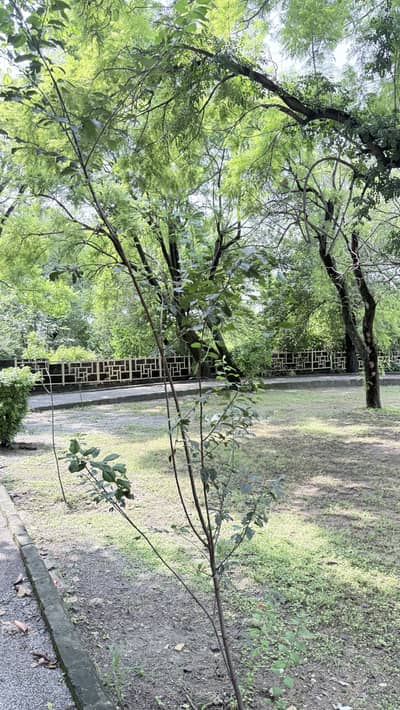 10 MARLA CORNOR PLOT FOR SALE D BLOCK TOPCITY