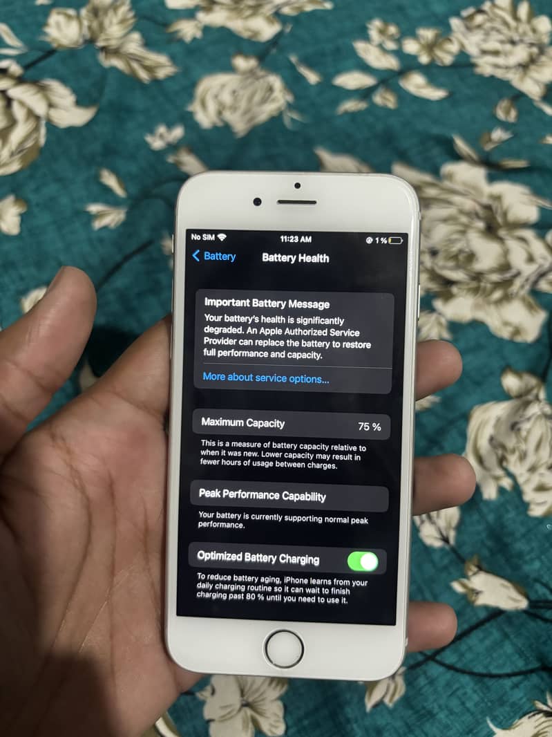 Apple iPhone 6S 1