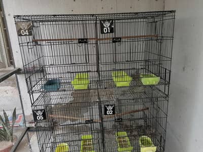 bird cage