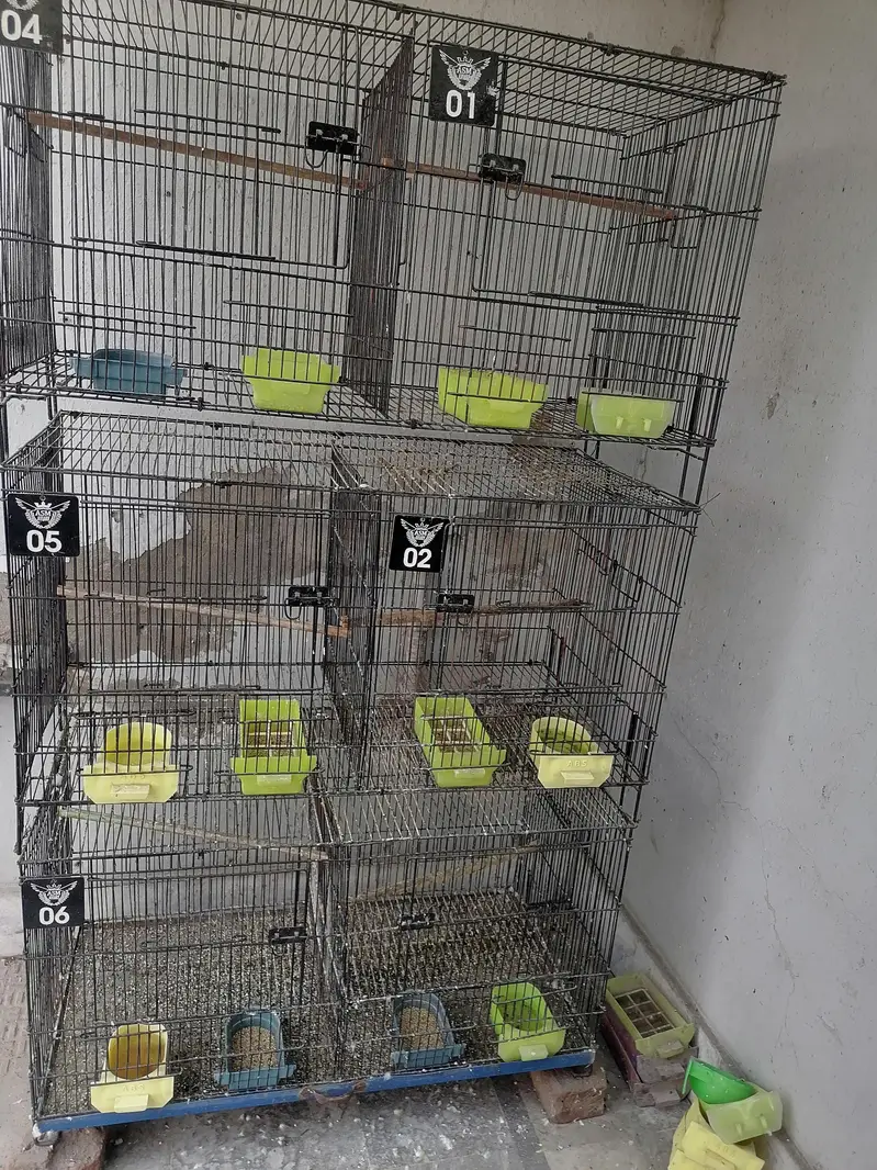 bird cage — photo 2