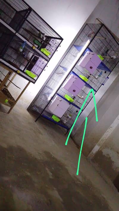 4 Portion Tower Bird Cage for Sale – Excellent Condition