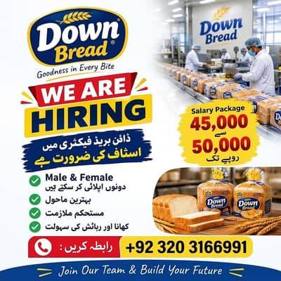 Down Bread Factory Jobs | Male & Female job | Factory Staff | Jobs