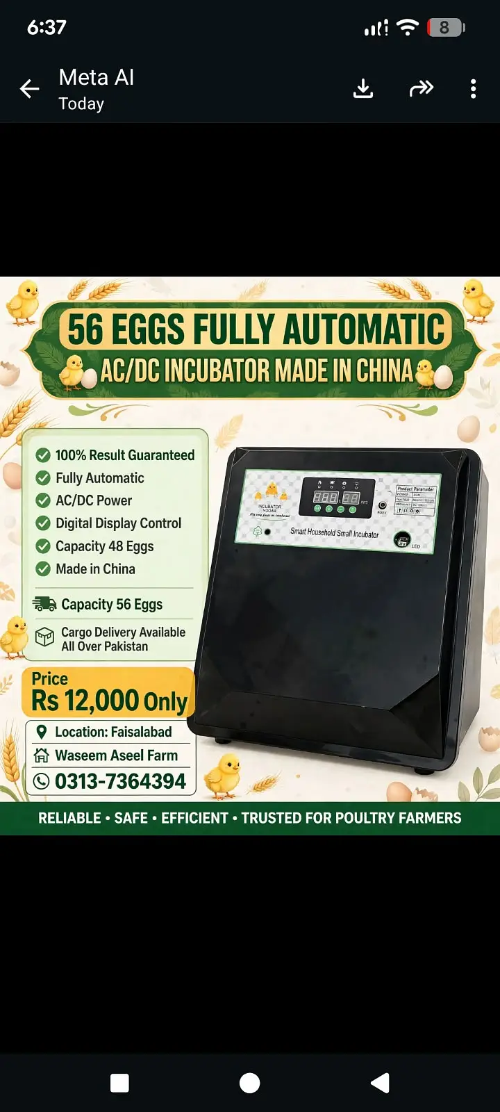 Eggs Inqubator Automatic /  Inqubator /Capacity 56 Eggs — photo 3
