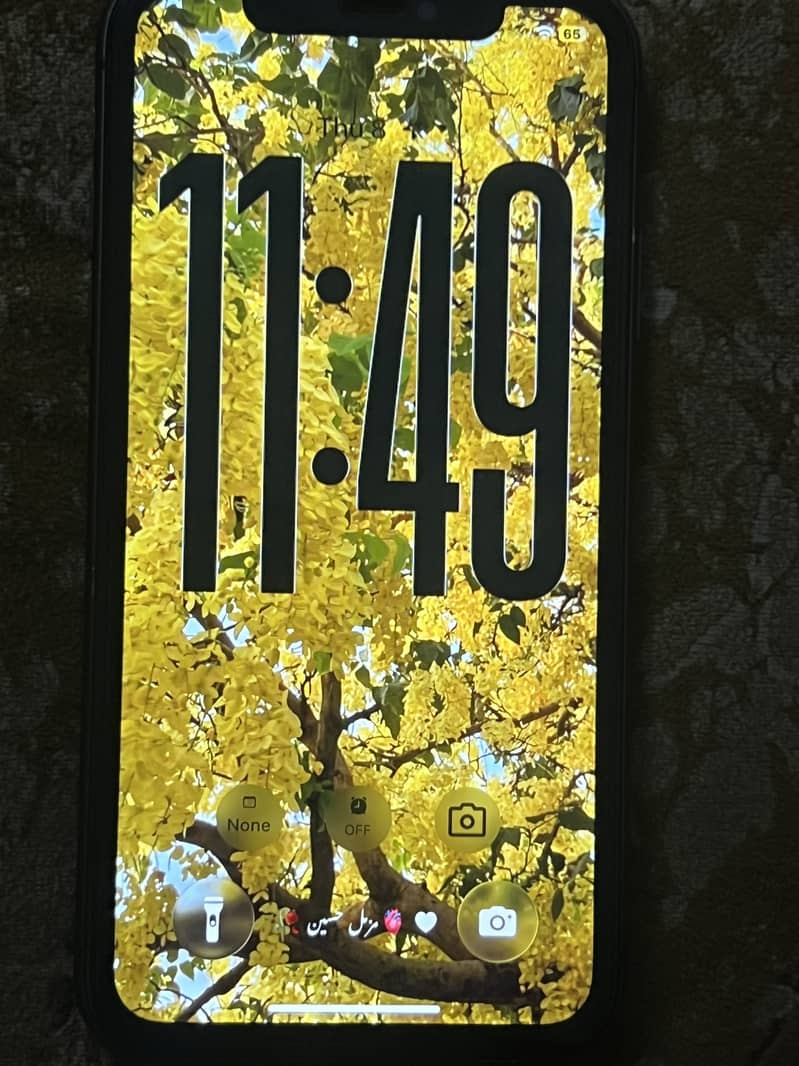 Apple iPhone 11 2
