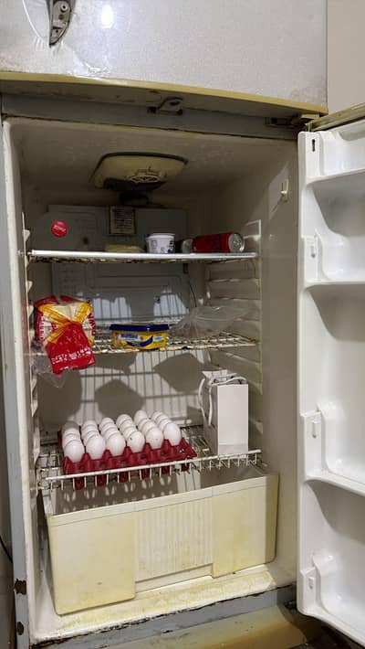 Waves Fridge For Sale