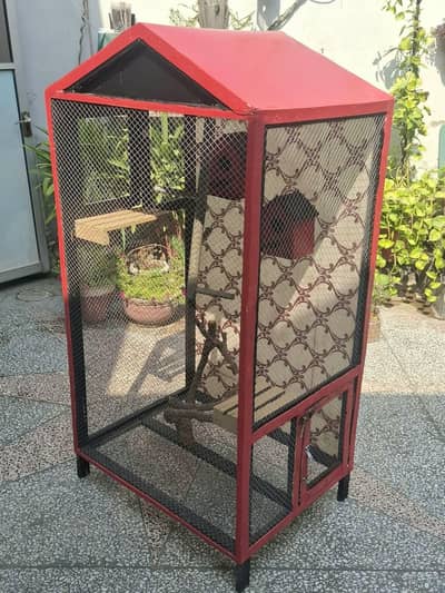Premium Handmade Bird Cage 5ft x 3ft - Beautiful Design For Home Decor
