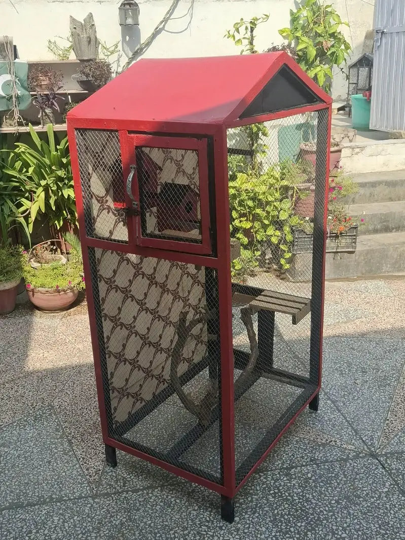 Premium Handmade Bird Cage 5ft x 3ft - Beautiful Design For Home Decor — photo 3