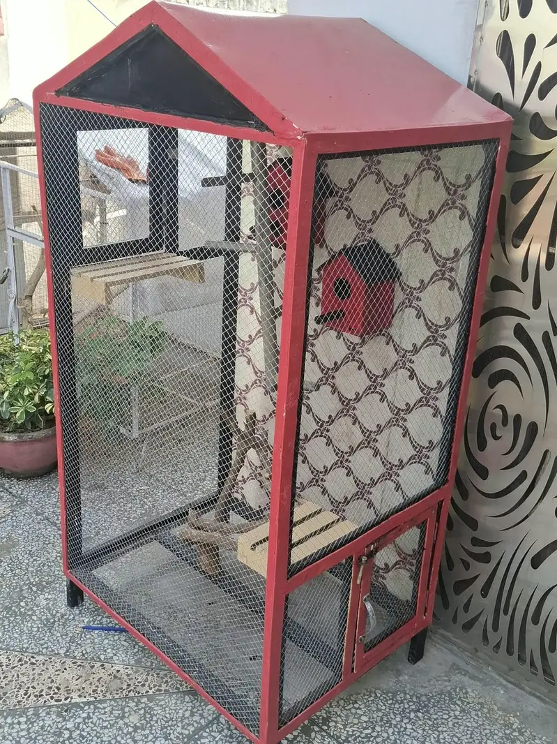 Premium Handmade Bird Cage 5ft x 3ft - Beautiful Design For Home Decor — photo 4