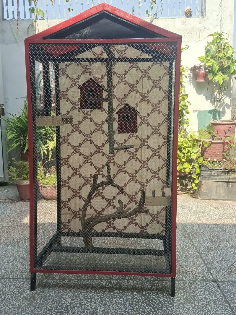 Premium Handmade Bird Cage 5ft x 3ft - Beautiful Design For Home Decor — photo 5