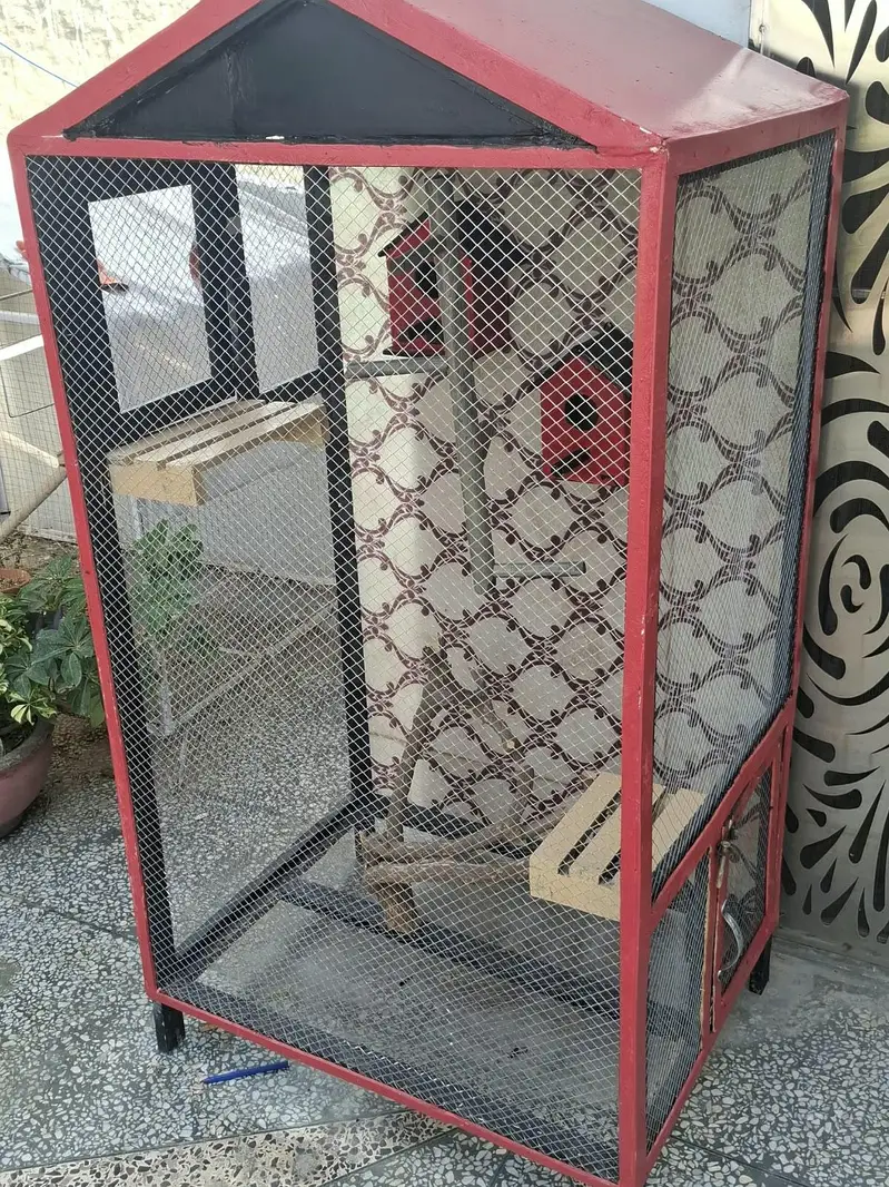 Premium Handmade Bird Cage 5ft x 3ft - Beautiful Design For Home Decor — photo 6