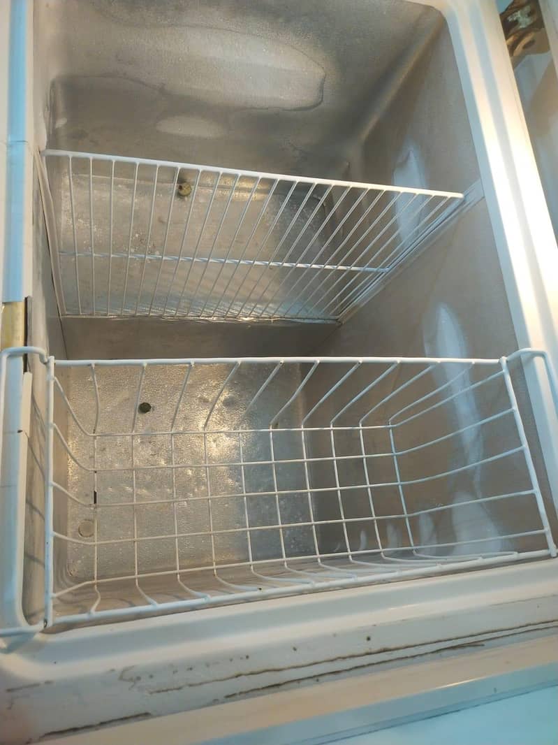 waves freezer 1