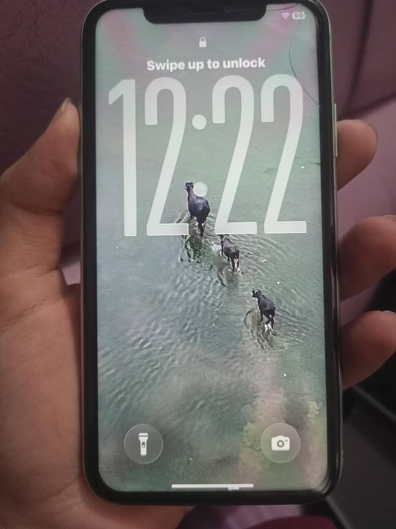 Apple iPhone 11 1