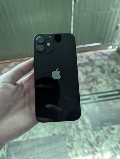 Apple iPhone 12