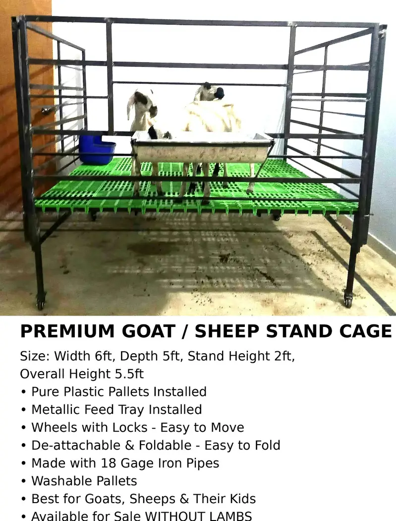 Premium Goat / Sheep Stand Enclosure (Brand New) — photo 2