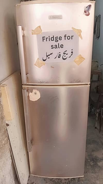 Electrolux Double Door Fridge for Sale - Good Condition