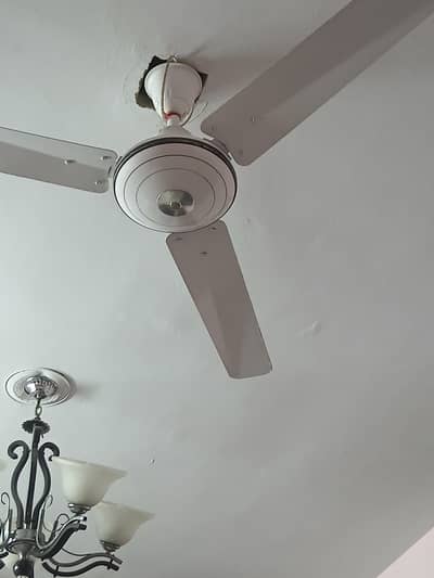 Ceiling fan