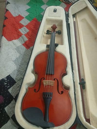 Premium violin with hardcase