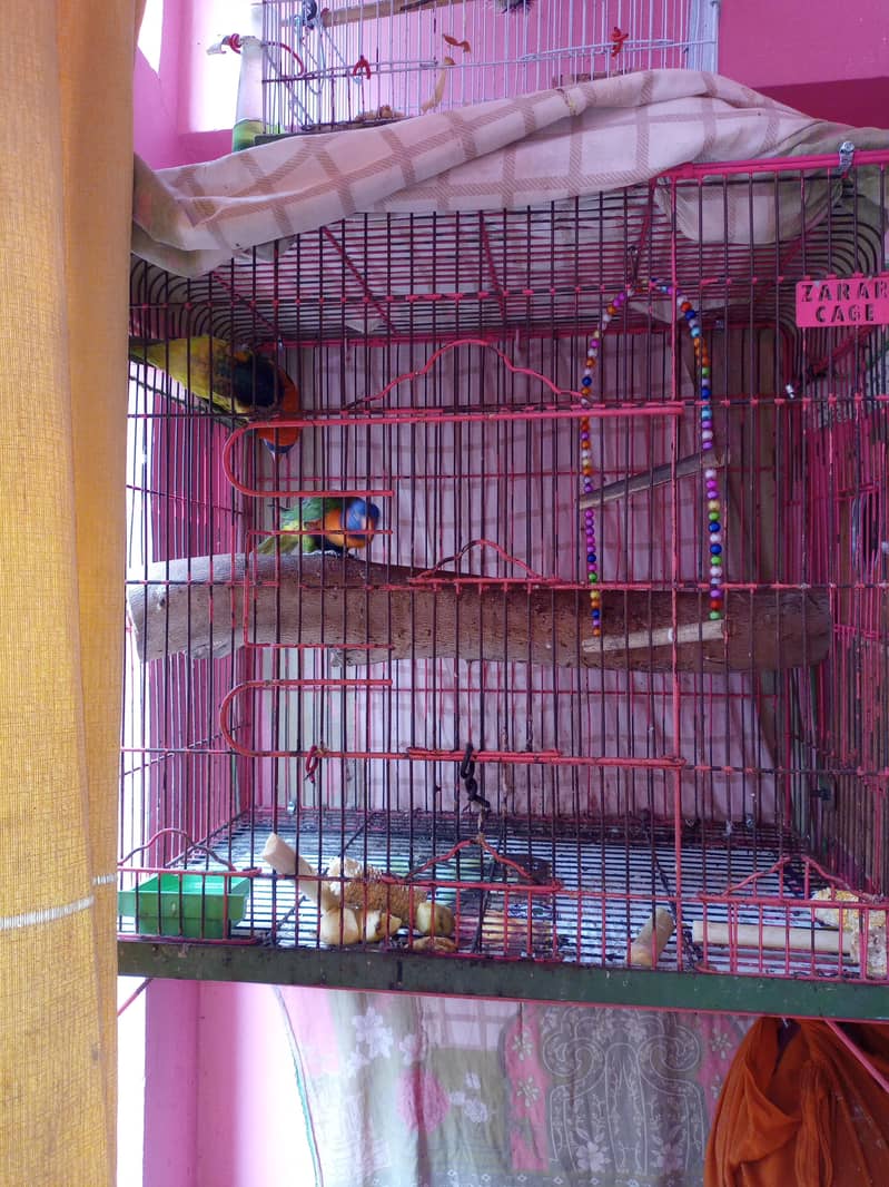 Rainbo lorry 2