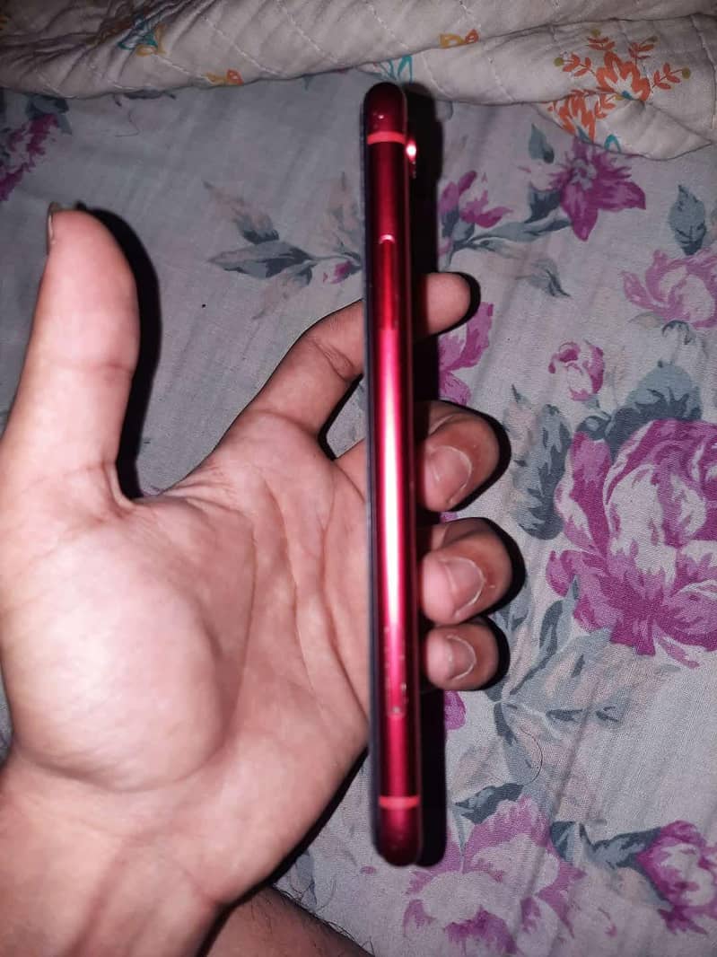 Apple iPhone XR 5