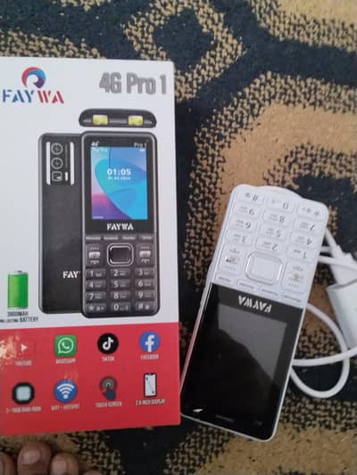 Faywa 4g Pro 1