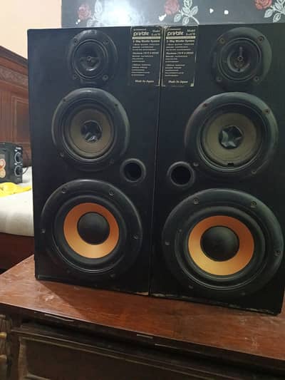 Poineer Three Way Speakers with Hamdmade Amplifier  03000222508