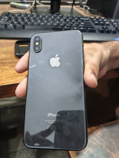 Apple iPhone X