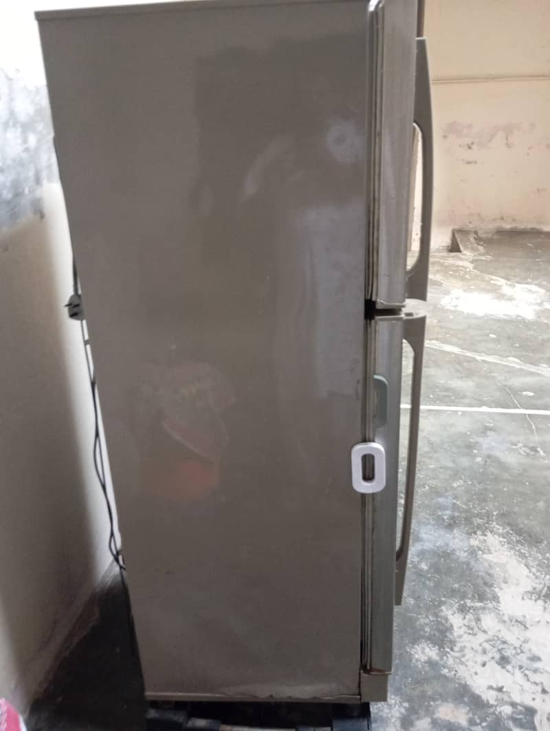PEL FRIDGE 3