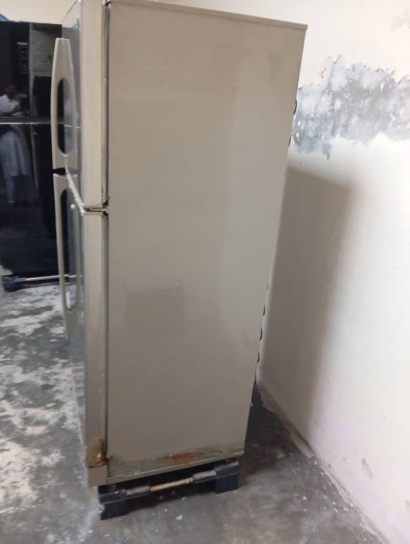 PEL FRIDGE 4