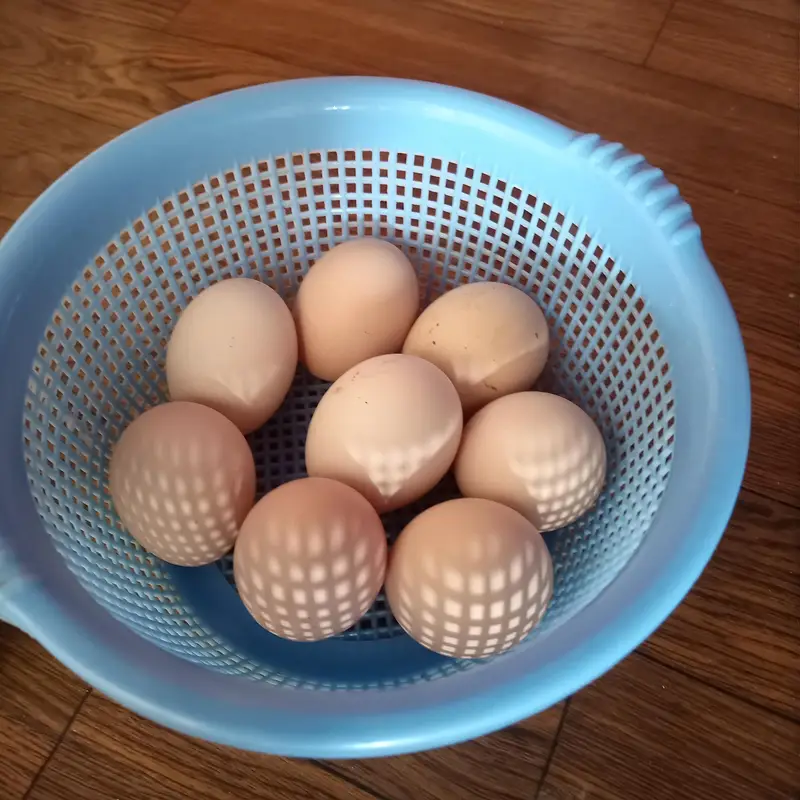 Bantam egg — photo 2