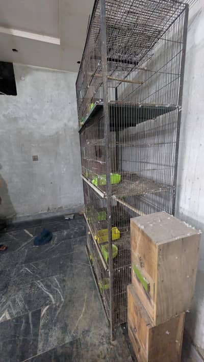 parrots cage