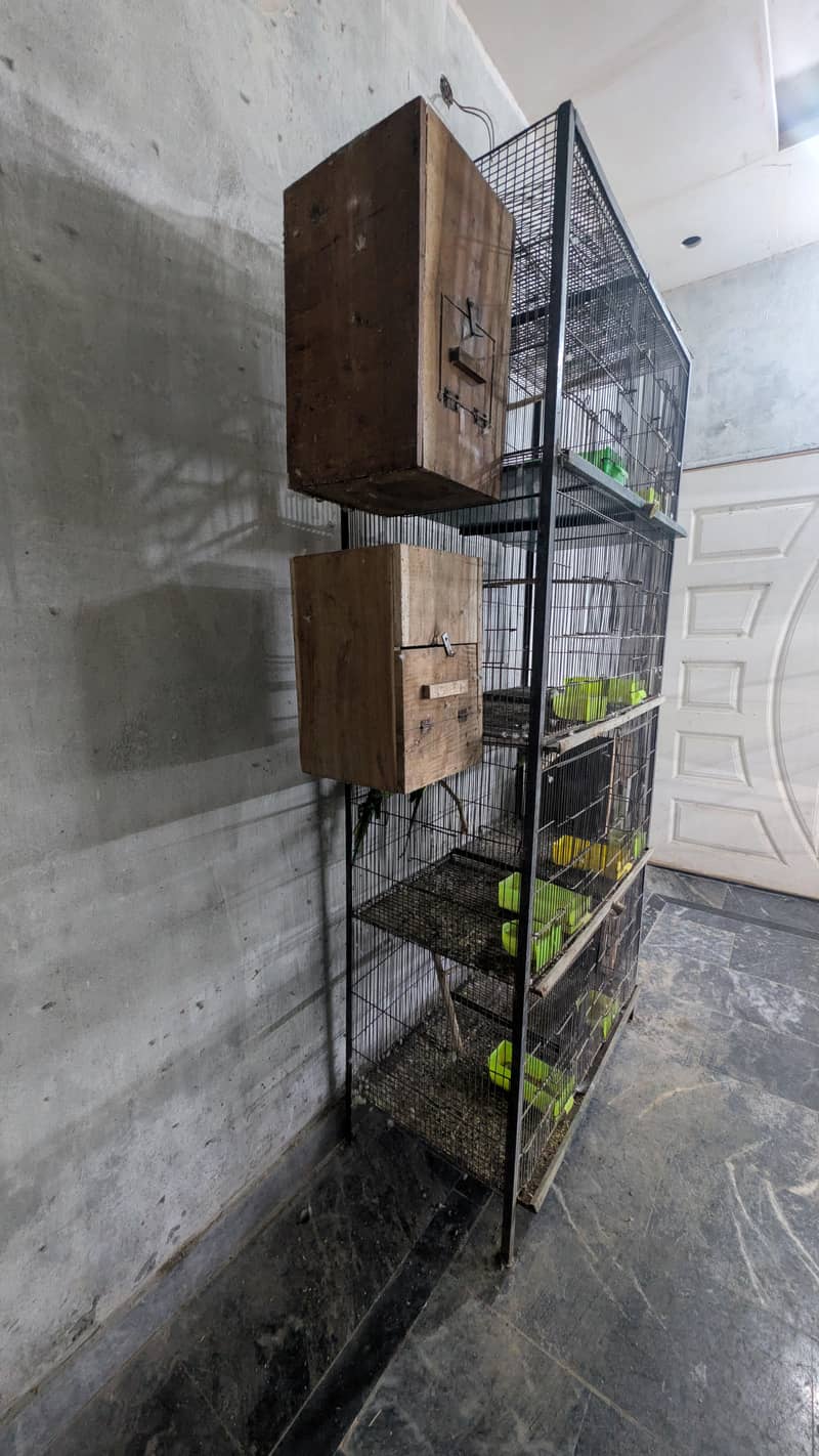 parrots cage 1